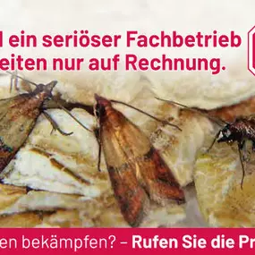 Bild von ATOX Schädlingsbekämpfungsfachbetrieb