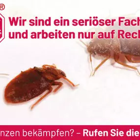 Bild von ATOX Schädlingsbekämpfungsfachbetrieb