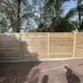 Bild von Professional Gardening Services