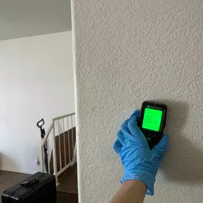 Bild von 24H Mold Inspection of San Diego