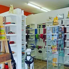 Bild von dogsland GmbH