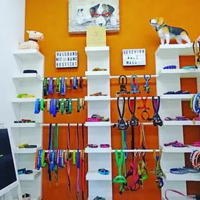 Bild von dogsland GmbH