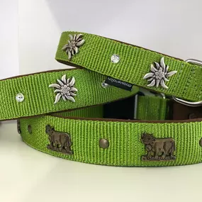 Bild von dogsland GmbH