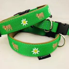 Bild von dogsland GmbH