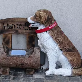 Bild von dogsland GmbH