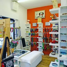 Bild von dogsland GmbH