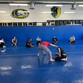 Brazilian Jiu-Jitsu introductory self-defense class with participants seated on blue mats watching two instructors demonstrating a technique at Zingano Brazilian Jiu-Jitsu gym.