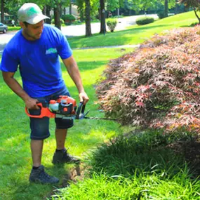 Bild von Di Sandro Landscape Group