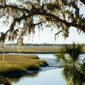Beautiful marsh views and stunning oak trees right in your backyard