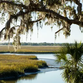 Beautiful marsh views and stunning oak trees right in your backyard