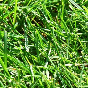 Bild von Matter Garten AG