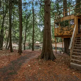 Bild von Sandi Harmoney, Dream Home Team NW