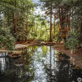 Bild von Sandi Harmoney, Dream Home Team NW