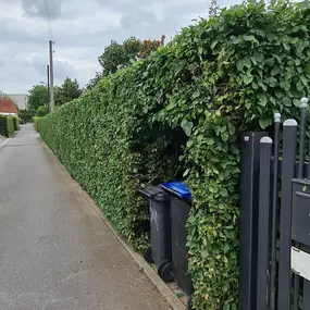 Bild von Hausservice Eisold