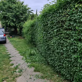 Bild von Hausservice Eisold