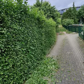 Bild von Hausservice Eisold