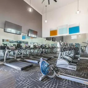 The gym with treadmills and other exercise equipment