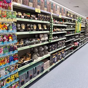 Bild von B&M Store