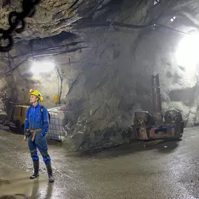 Bild von Dr. G. Pedall Ingenieurbüro GmbH