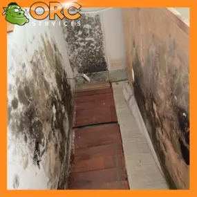 Bild von ORC Services, Inc.