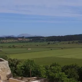 Bild von Finca Tagamanent