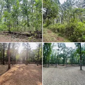 Bild von Frontier Land Management LLC