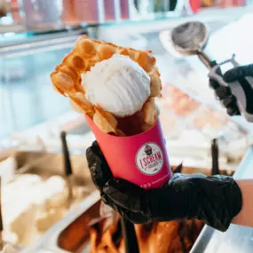 Bild von I Scream Gelato - Plano, TX