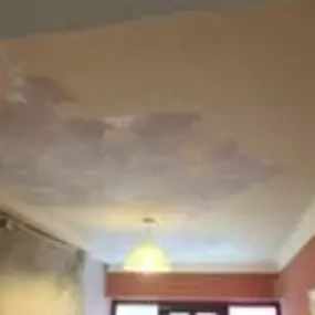 Bild von Ben Stewart Plastering & Decorating