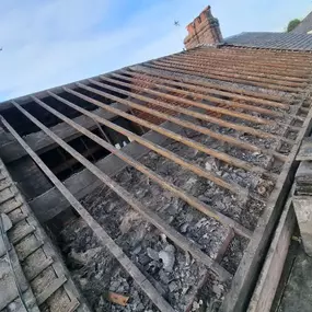 Bild von Singleton's Roofing & Building