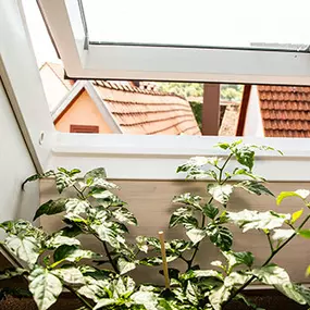 Bild von WP Wohnprojekt Rottenburg