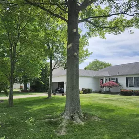 Bild von Custom Tree, LLC