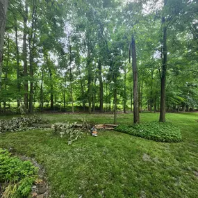 Bild von Custom Tree, LLC
