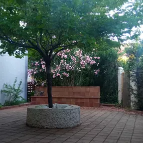 236364048-1-kPiUdzSUMh1749140181460.jpeg