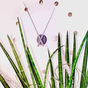 Bild von HNO-Praxis am Schloss Dr. med. Karsten Kittel