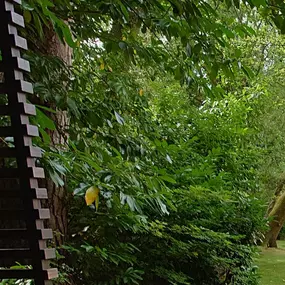 Bild von RMS Sound Systems