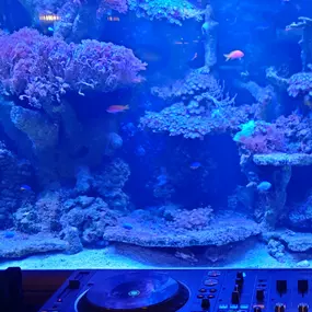 Bild von RMS Sound Systems