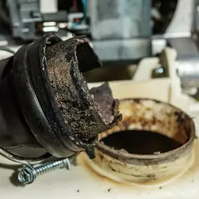 Bild von Moonlight Plumbing LLC
