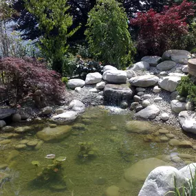 Bild von Forni Fabio SAGL