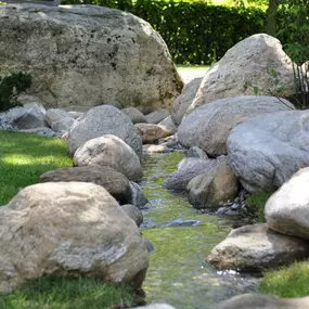 Bild von Forni Fabio SAGL