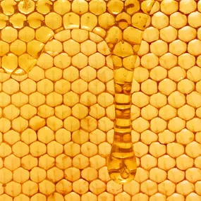 Bild von Llangattock Apiaries