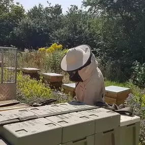 Bild von Llangattock Apiaries