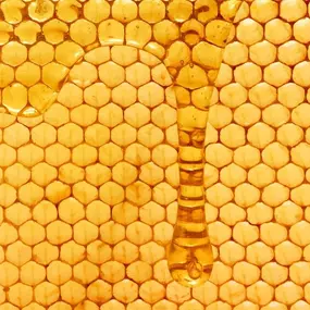 Bild von Llangattock Apiaries