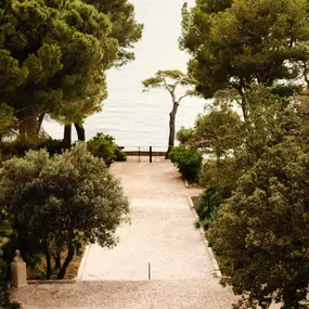 Bild von Four Seasons Resort Mallorca at Formentor