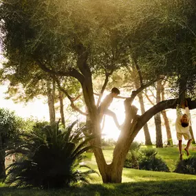 Bild von Four Seasons Resort Mallorca at Formentor
