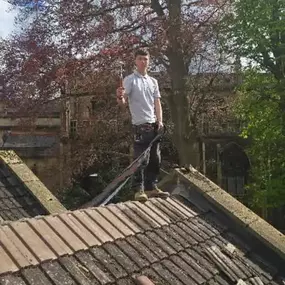 Bild von Four Seasons Roofing Repairs