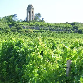 Bild von WEINGUT BREMER GmbH & Co. KG