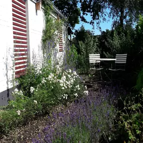 Bild von Rustig gelegen vakantiewoning in Zeeuws - Belvilla by Oyo