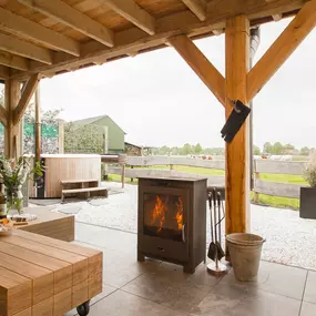 Bild von Fantastisch uitzicht vakantieboerderij in Holten - Belvilla by Oyo