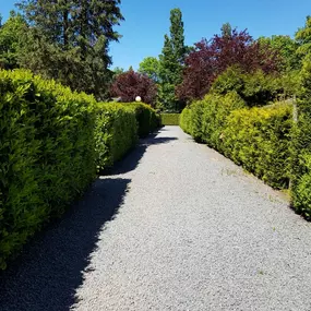Bild von Ruim chalet met omheinde tuin, Veluwe - Belvilla by Oyo