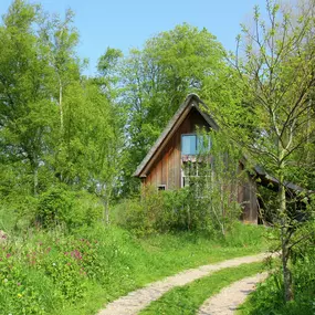 Bild von Sprookjesachtige cottage tussen bos en dorp - Belvilla by Oyo